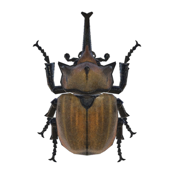 Horned Elephant Product Image