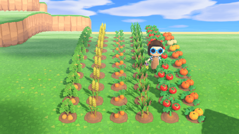 Veggie Pack Product Image